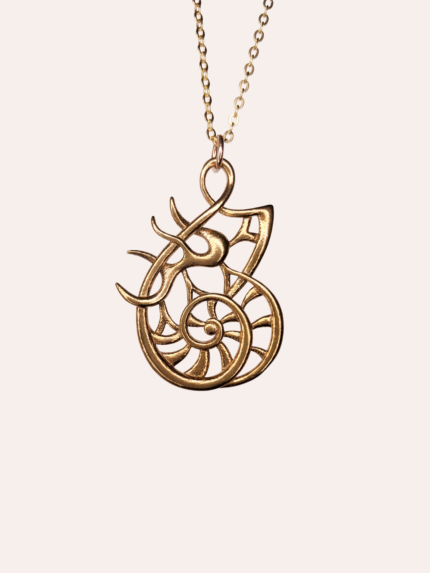 A bronze pendant of the inside of a nautilus shell with striped spirals inside and interwoven tendrils on the left.